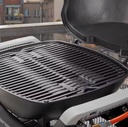 Weber Q 1100N