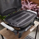 Weber Q 2100N