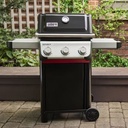 Weber Spirit E-310